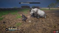 When the Battle-Sow initiates its chain headbutt attack, you’re better off running than dodging.