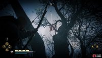 Shoot the symbol hanging from the tree to lift the curse.