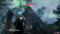 Climb the peak of the mountain and use the synchronization point.