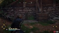 Shoot the wood at the northwestern end of the house, and use your torch to disperse the poison.