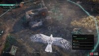 Use your raven to locate the entrance to the slums.