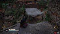 When you locate the emissary within Dover Fortress, you can steal the message or kill him for it.