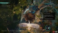You can use the power to fly to the nest where you’ll find the tools.