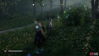 Follow the stag through the woods as you come across other stag along the way.