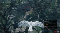 Use your bird to identify the large hole in the ground.