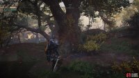 Interact with the area under the tree to be transported to Svartalfheim.