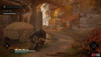Kill the guard beneath the canopy outside the cave.