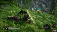 You’ll often find Giant Ravens feasting on dead animals in the landscape.