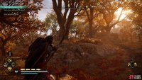 Kill the Saxon warriors in the surrounding countryside to protect Hunwald.