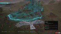 Use your raven to identify the location of the grave near the large tree.