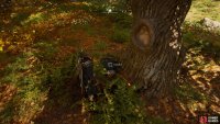 You’ll be able to loot the artifact from the ground, lying beneath a tree.