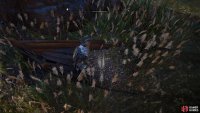 Loot the boat for the treasure.