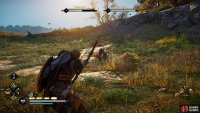 When the lynx begin fighting each other, use Focus of the Nornir to inflict a lot of damage in a short space of time.