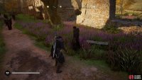 Meet with Gill at the bench to the northwest once you’ve given the letter. You may need to load in and out for the person to appear.
