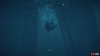 Swim through the doorway to the north once you’re underwater.