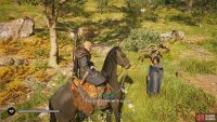 You’ll need to take Ermina by horseback to the ruins at the top of the hill.