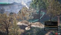 Use your raven to scout the camp further up the road.