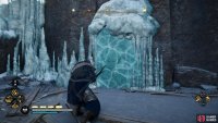 Shoot the ice to find the movable pillar behind it.