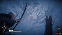 You’ll need to shoot the symbol from the northern side of the tree.