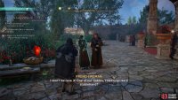 After speaking with Theodrate at the front door to the Manor, speak with the nobles just in front of her to learn of a way in.
