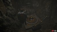 You’ll need to take the spherical object after pulling the lever.