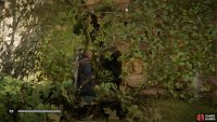 You can enter the hidden room through a hole on the southwestern side.