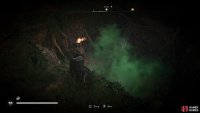 Use a torch to disperse the poison cloud.