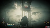 Once you’ve reached the vantage point, you’ll be able to shoot the symbol from the branch.