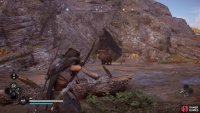 Kill the bear and loot it for its testicles…