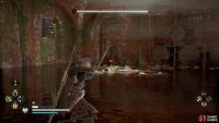 Shoot at the bear’s weak points