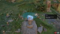 Place another flat rock on top of the stack. Remember to do so gently or you’ll knock it over!