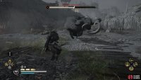 The Black Stout will frequently charge attack to throw you off your feet.