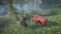 You’ll need to follow the boar through the forest as he searches for buried treasure.
