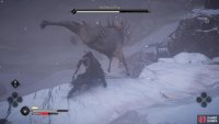 And if you try to attack him from behind, he will buck at you. 