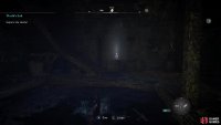 dive into the water to enter into the boathouse. 