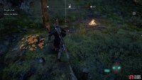near a small camp.
