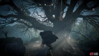 you’ll need to climb up higher to be able to shoot down the cursed symbol. 