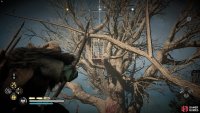When you’re at the end of the line of trees, use your bow to shoot down the cursed symbol.