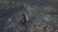 Use Odin’s Sight to help you find it!
