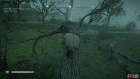you’ll need to climb the tree and collect the artifact from a bird’s nest.