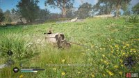 Then, fight some boars nearby to show off your prowess.