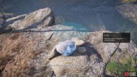 First, place the largest rock as the foundation of your stack.