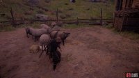 First, you’ll need to feed the sheep.