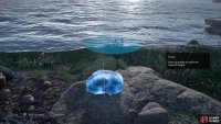 First, place the largest stone to act as a firm base for your stack.