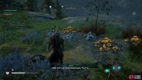 Frodri eats some poisonous mushrooms