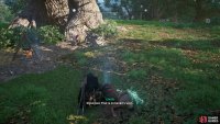 Then you’ll need to examine the scene around the large oak tree.