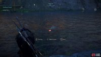 head out and get fishing!