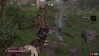 where you’ll find a bloody massacre and the scene of a horse and cart crash.