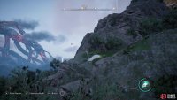 fly around and look for unsuspecting victims!