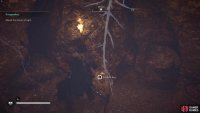 Head down into the well and grab the key on the rock nearby.